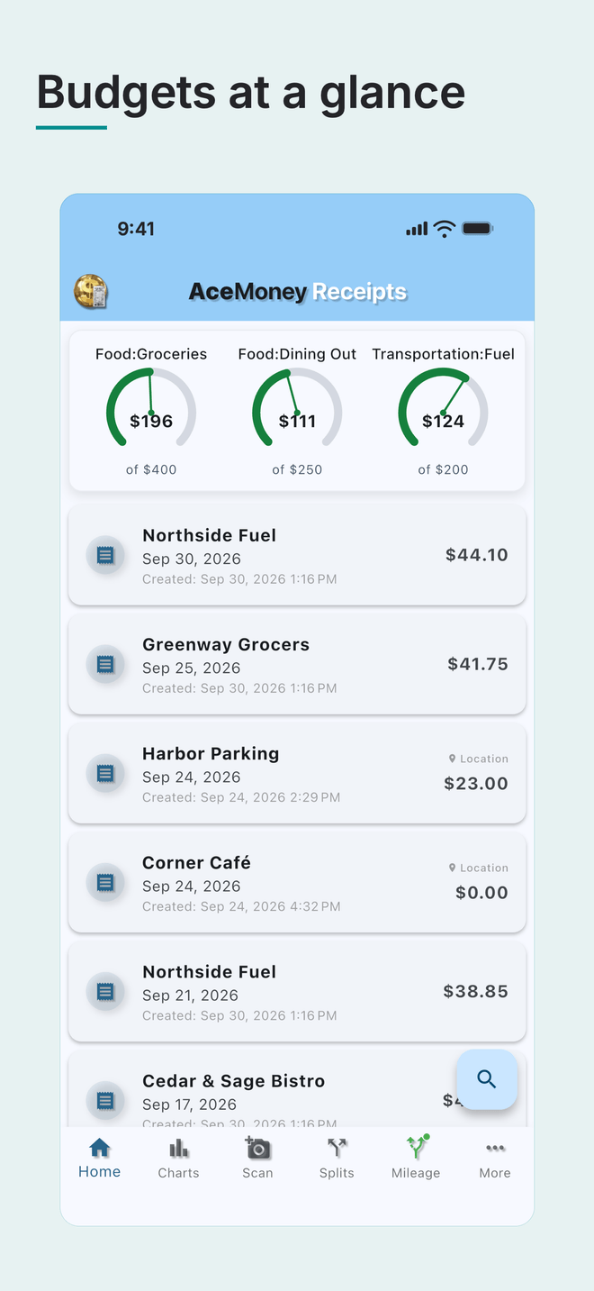 AceMoney Receipts on an iPhone, under the headline “Budgets at a glance”: the home screen, with three budget gauges for Food: Groceries, Food: Dining Out and Transportation: Fuel above a list of recent receipts. Sample data.