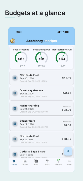 AceMoney Receipts on an iPhone, under the headline “Budgets at a glance”: the home screen, with three budget gauges for Food: Groceries, Food: Dining Out and Transportation: Fuel above a list of recent receipts. Sample data.