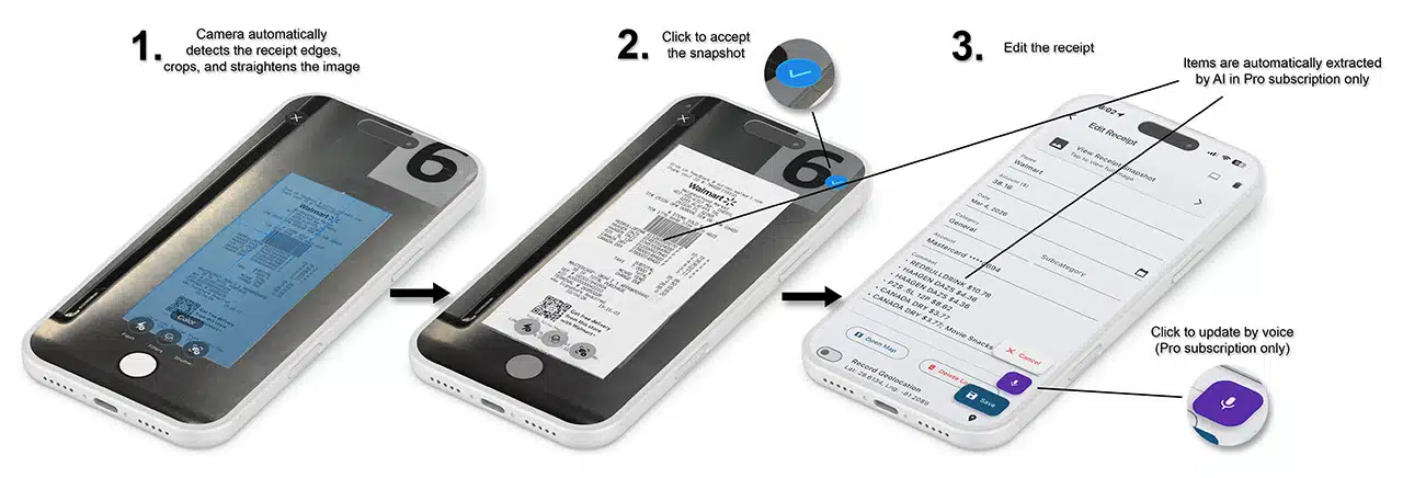 Live Scan Explained